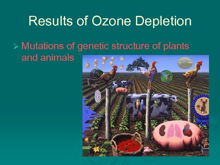 Results of Ozone Depletion Ø Mutations of genetic structure of plants and animals 