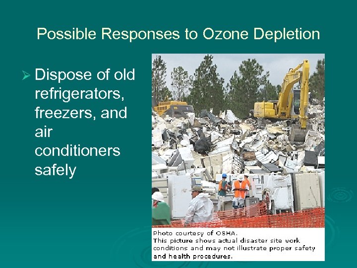 Possible Responses to Ozone Depletion Ø Dispose of old refrigerators, freezers, and air conditioners