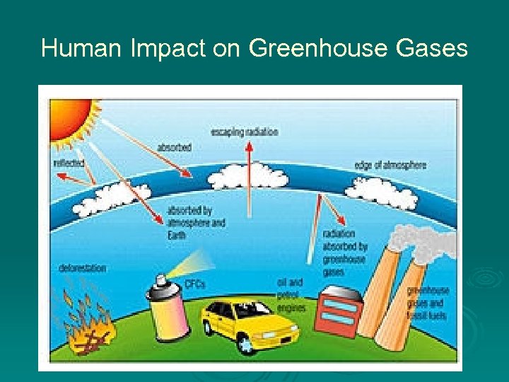 Human Impact on Greenhouse Gases 