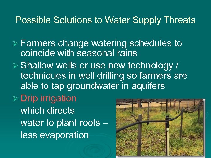 Possible Solutions to Water Supply Threats Ø Farmers change watering schedules to coincide with