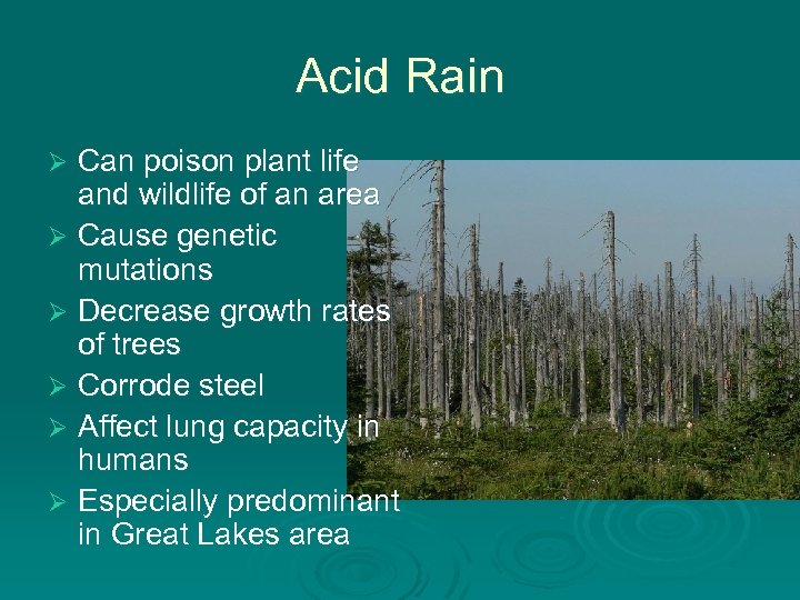 Acid Rain Can poison plant life and wildlife of an area Ø Cause genetic