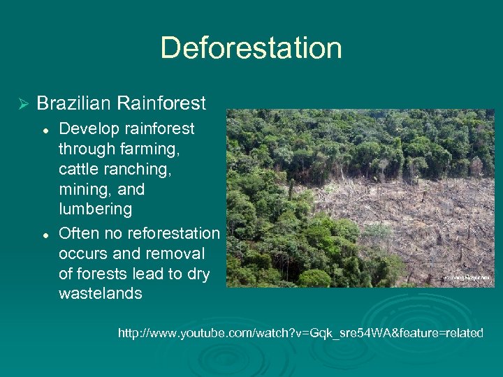 Deforestation Ø Brazilian Rainforest l l Develop rainforest through farming, cattle ranching, mining, and