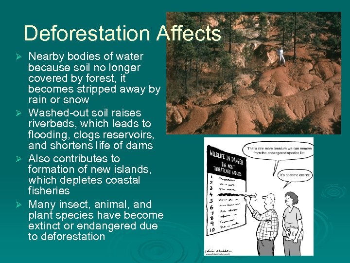 Deforestation Affects Ø Ø Nearby bodies of water because soil no longer covered by