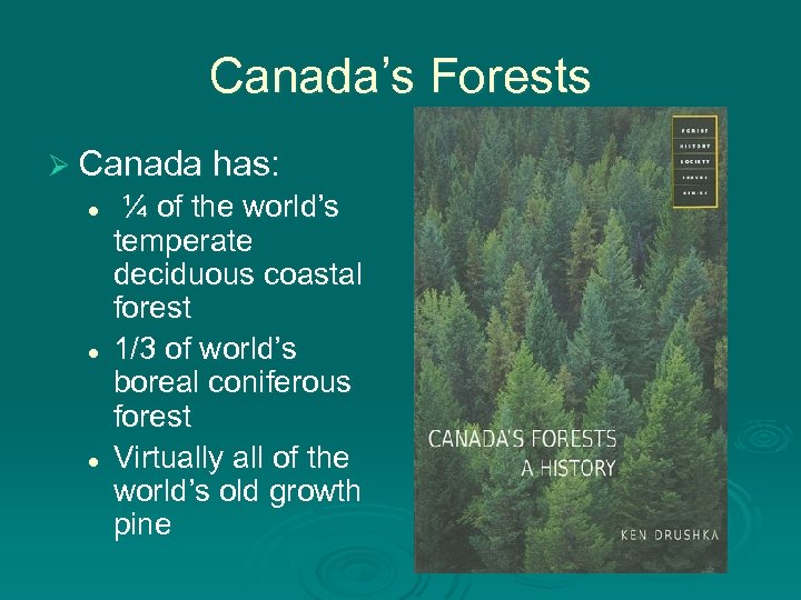 Canada’s Forests Ø Canada has: l l l ¼ of the world’s temperate deciduous