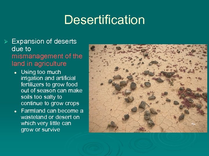 Desertification Ø Expansion of deserts due to mismanagement of the land in agriculture l