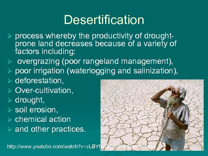 Desertification process whereby the productivity of droughtprone land decreases because of a variety of