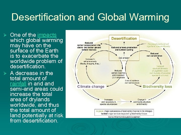 Desertification and Global Warming One of the impacts which global warming may have on