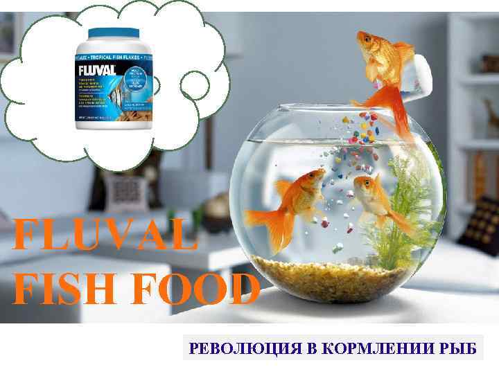 FLUVAL FISH FOOD РЕВОЛЮЦИЯ В КОРМЛЕНИИ РЫБ 