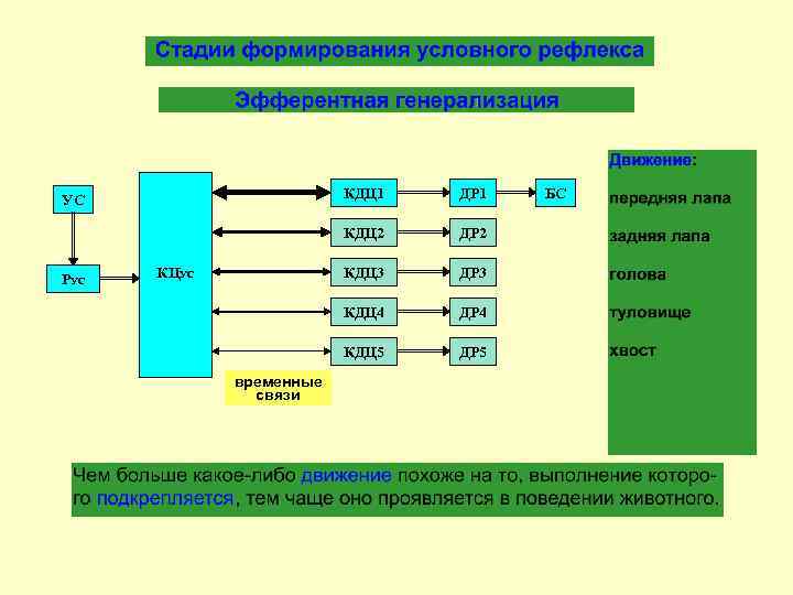 КДЦ 1 РУС ДР 3 КДЦ 4 ДР 4 КДЦ 5 временные связи ДР