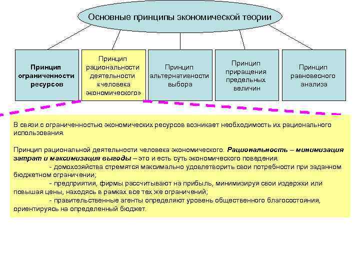 Основные принципы экономической теории Принцип ограниченности ресурсов Принцип рациональности деятельности «человека экономического» Принцип альтернативности