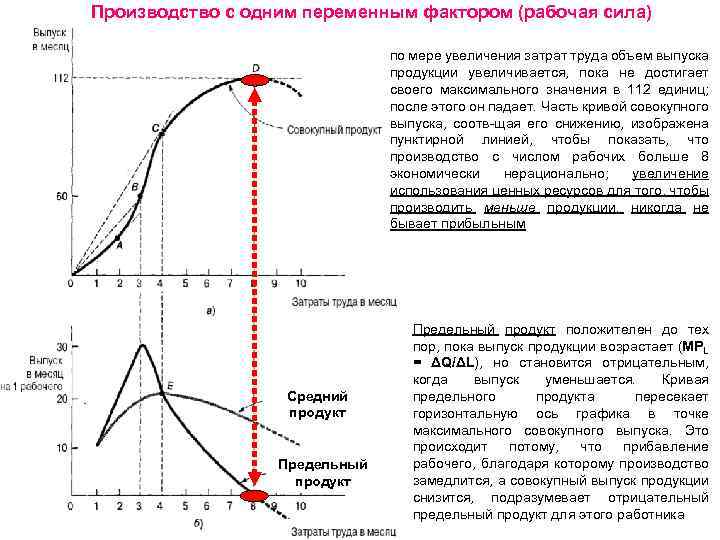 Кривая выпуска. Кривая предельного продукта труда. Производство с одним переменными факторами. Производство с одним переменным фактором. Кривые среднего и предельного продукта.