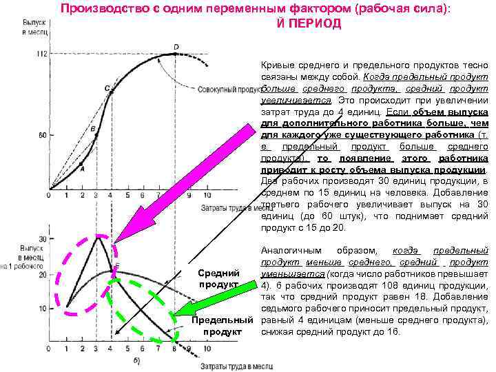 Производство с одним переменным фактором (рабочая сила): КРАТКОСРОЧНЫЙ ПЕРИОД Кривые среднего и предельного продуктов