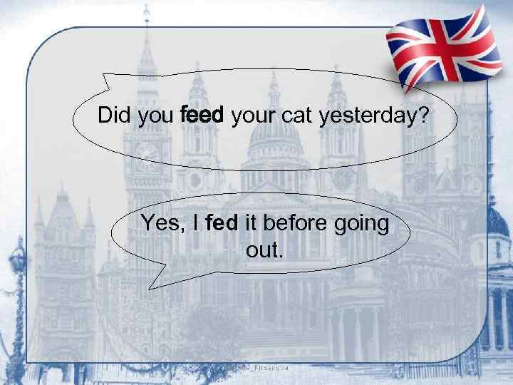 Did you feed your cat yesterday? Yes, I fed it before going out. 