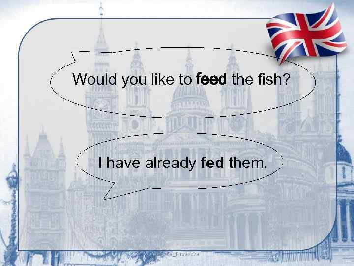 Would you like to feed the fish? I have already fed them. 