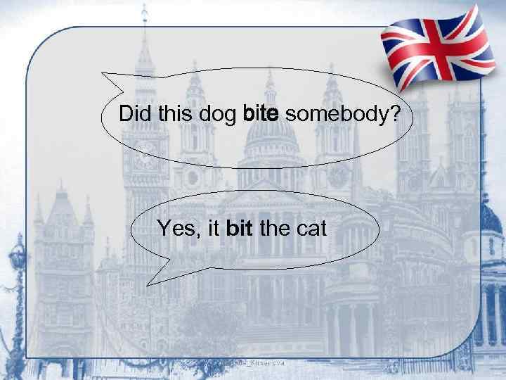 Did this dog bite somebody? Yes, it bit the cat 