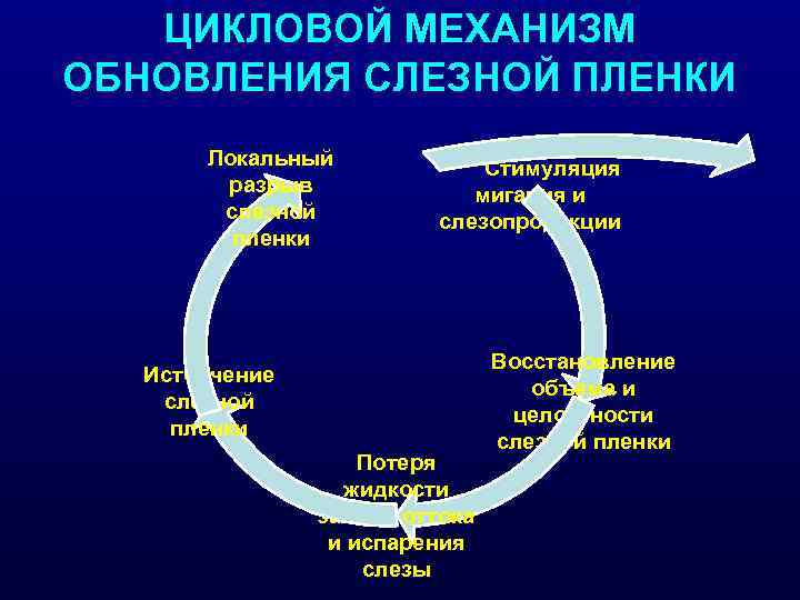 ЦИКЛОВОЙ МЕХАНИЗМ ОБНОВЛЕНИЯ СЛЕЗНОЙ ПЛЕНКИ Локальный разрыв слезной пленки Стимуляция мигания и слезопродукции Истончение