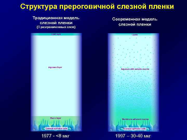 Структура прероговичной слезной пленки Традиционная модель слезной пленки (3 разграниченных слоя) 1977 - <8