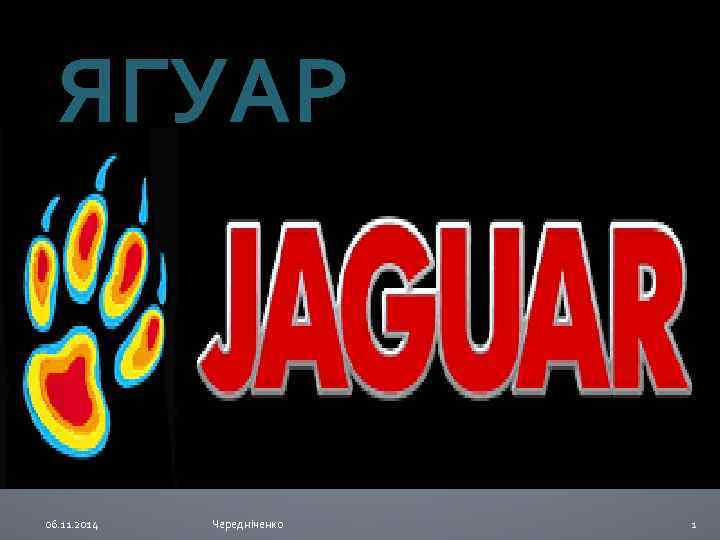 ЯГУАР 06. 11. 2014 Чередніченко 1 
