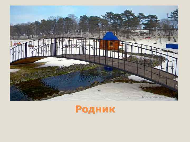 Родник 