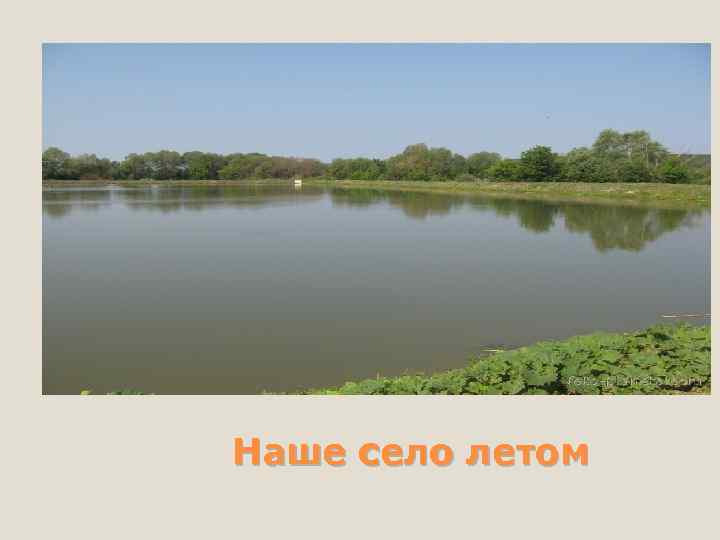 Наше село летом 