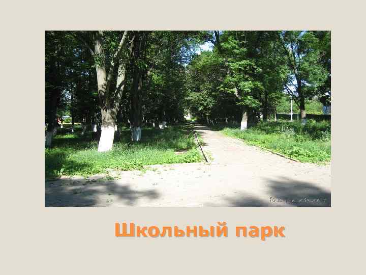 Школьный парк 