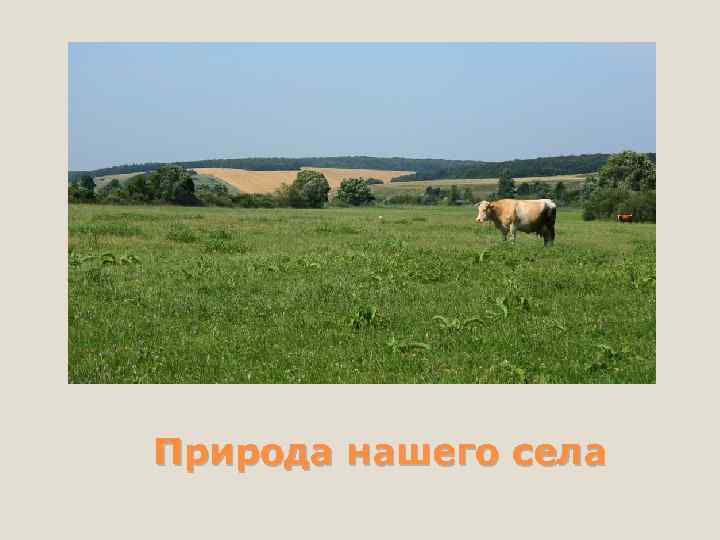 Природа нашего села 