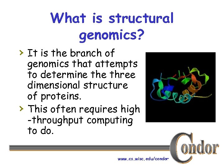 What is structural genomics? › It is the branch of › genomics that attempts
