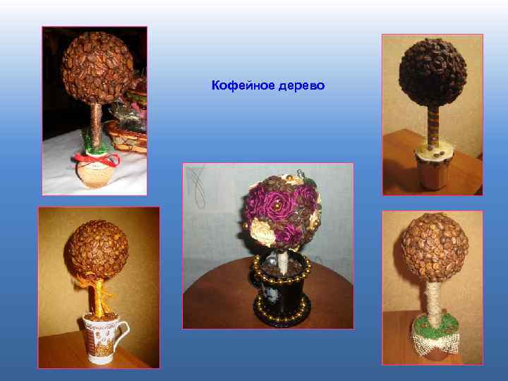 Кофейное дерево 