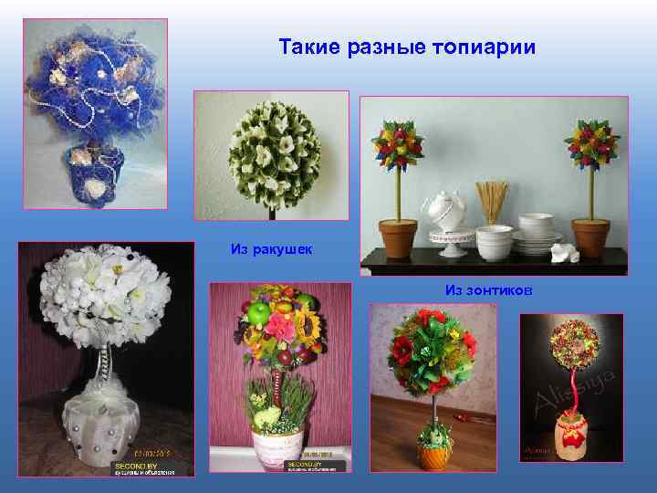 Такие разные топиарии Из ракушек Из зонтиков 