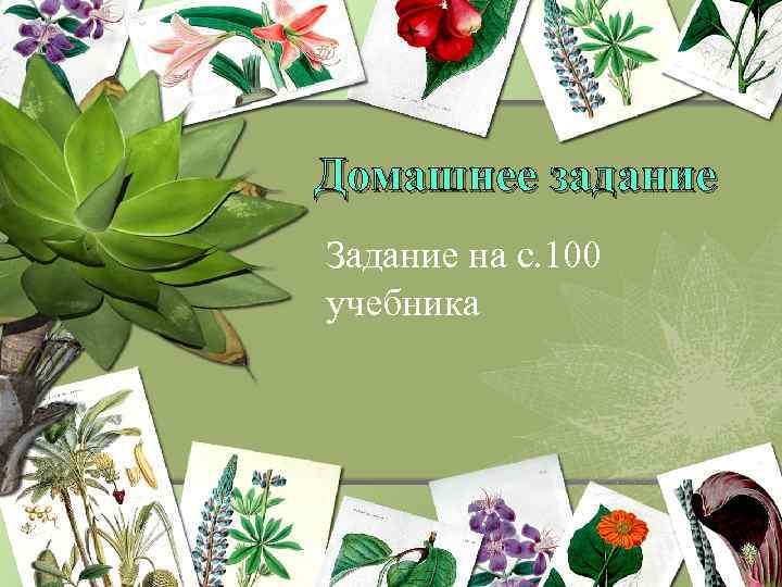 Домашнее задание Задание на с. 100 учебника 