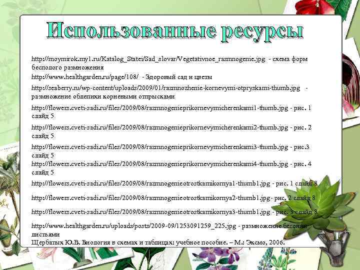 Использованные ресурсы http: //moymirok. my 1. ru/Katalog_Statei/Sad_slovar/Vegetativnoe_rasmnogenie. jpg - схема форм бесполого размножения http: