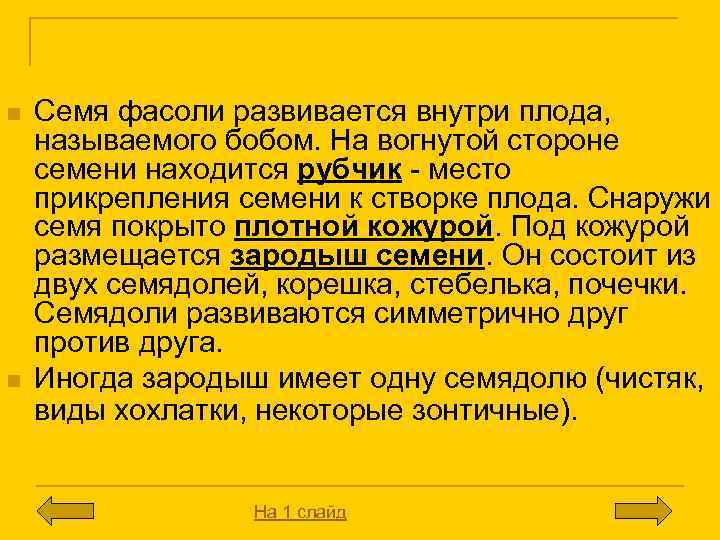 Двудольные n n Семя фасоли развивается внутри плода, называемого бобом. На вогнутой стороне семени