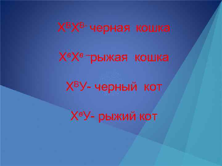 ХВХВ- черная кошка Хв. Хв –рыжая кошка ХВУ- черный кот Хв. У- рыжий кот
