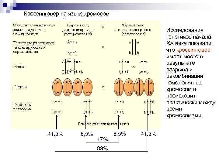 Кроссинговер на языке хромосом Исследования генетиков начала XX века показали, что кроссинговер имеет место