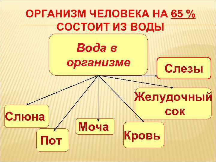 ОРГАНИЗМ ЧЕЛОВЕКА НА 65 % СОСТОИТ ИЗ ВОДЫ Вода в организме Слюна Пот Слезы