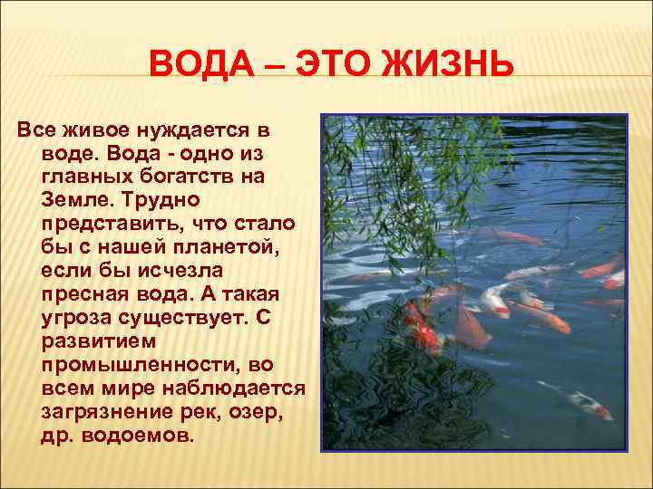 ВОДА – ЭТО ЖИЗНЬ Все живое нуждается в воде. Вода - одно из главных