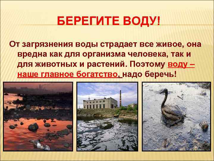 БЕРЕГИТЕ ВОДУ! От загрязнения воды страдает все живое, она вредна как для организма человека,