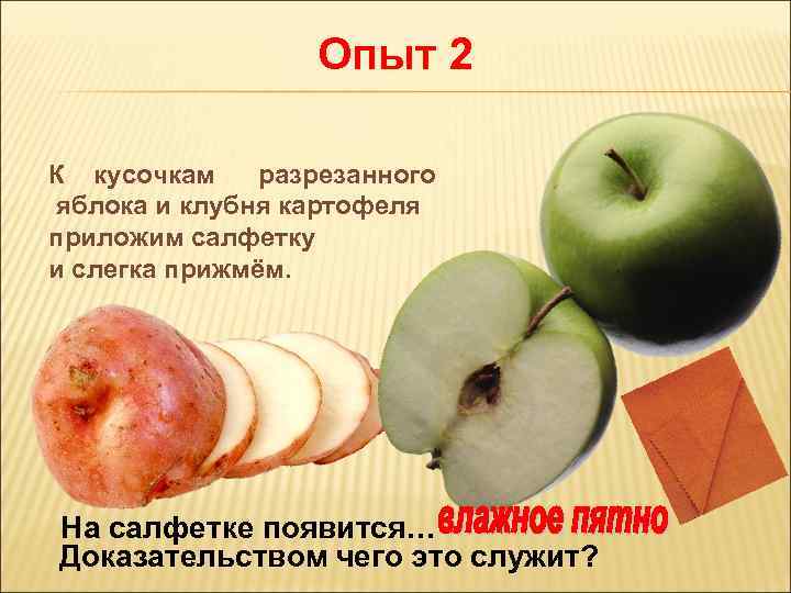 Опыт 2 К кусочкам разрезанного яблока и клубня картофеля приложим салфетку и слегка прижмём.