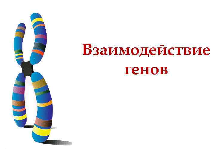 Взаимодействие генов 