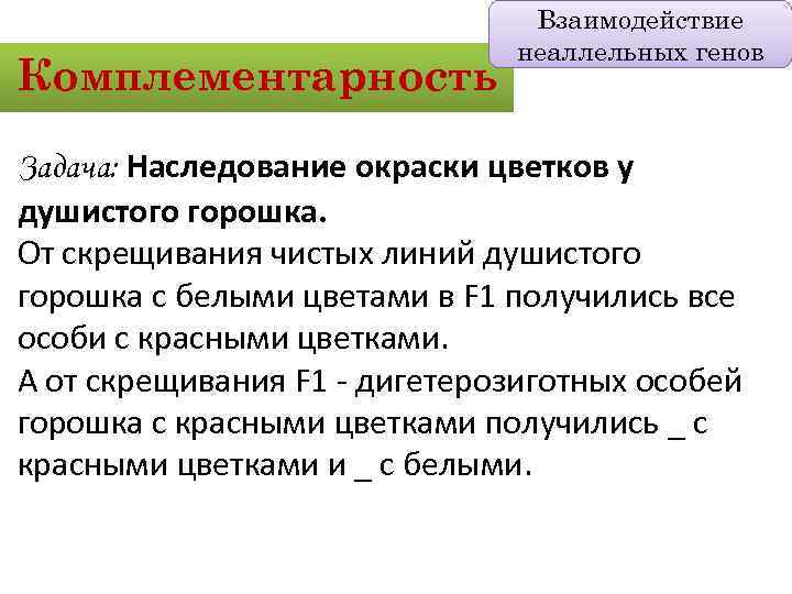 Комплементарность Взаимодействие неаллельных генов Задача: Наследование окраски цветков у душистого горошка. От скрещивания чистых