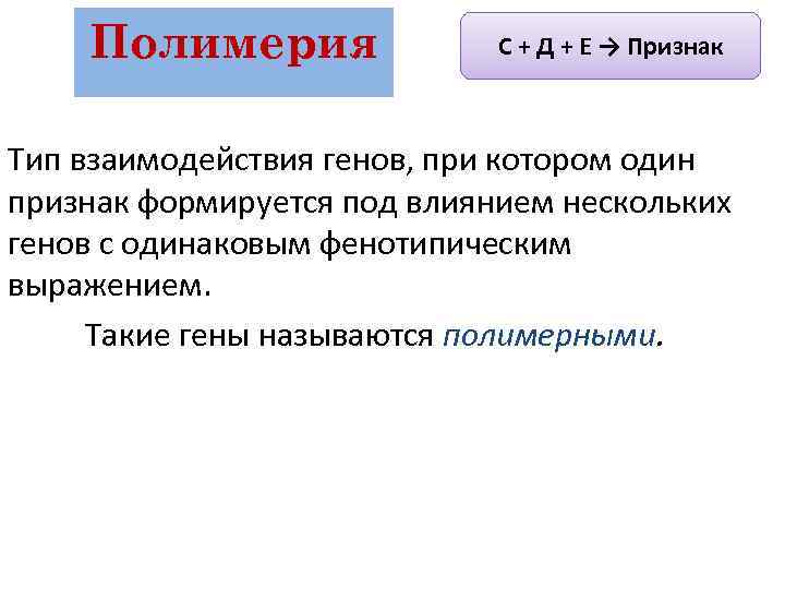 Взаимодействием генов называется. Взаимодействие генов Полимерия. Какой Тип взаимодействия генов называют полимерией. Полимерия это Тип взаимодействия. Взаимодействие неаллельных генов по типу Полимерия при котором.