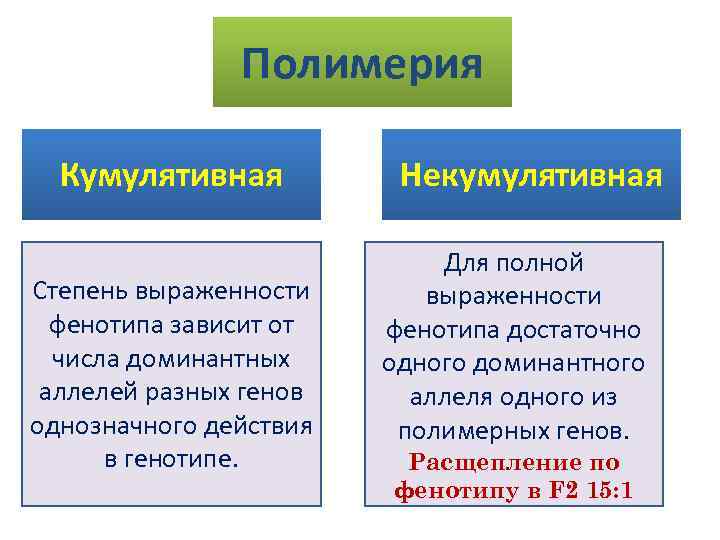 Полимерия Кумулятивная Степень выраженности фенотипа зависит от числа доминантных аллелей разных генов однозначного действия