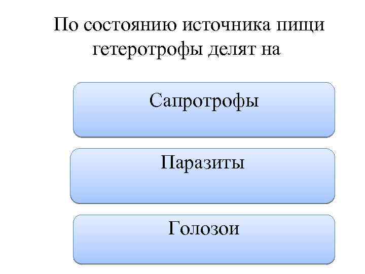  По состоянию источника пищи гетеротрофы делят на Сапротрофы Паразиты Голозои 