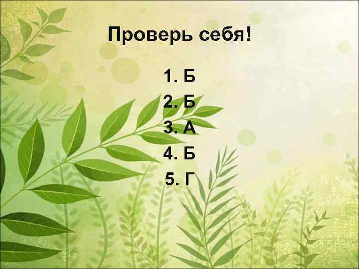 Проверь себя! 1. Б 2. Б 3. А 4. Б 5. Г 
