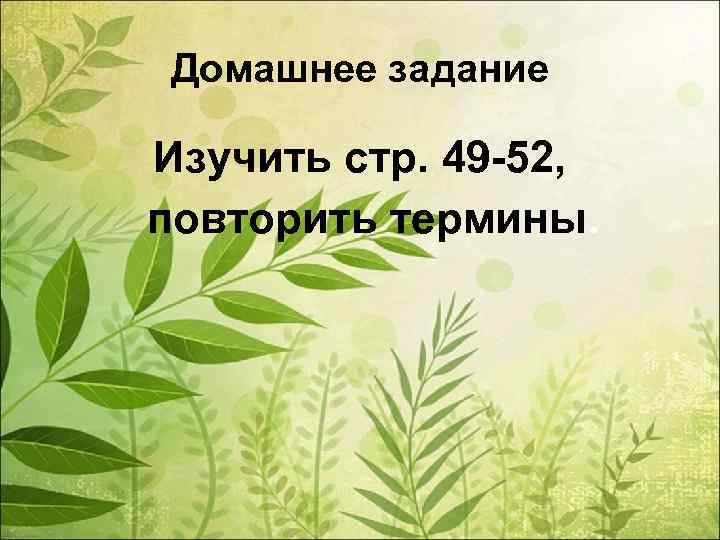 Домашнее задание Изучить стр. 49 -52, повторить термины. 