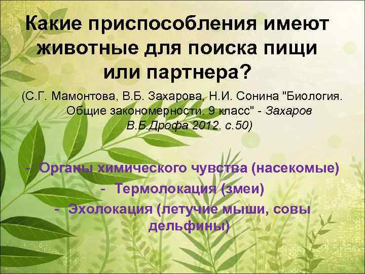 Какие приспособления имеют животные для поиска пищи или партнера? (С. Г. Мамонтова, В. Б.