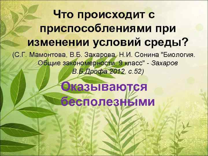 Что происходит с приспособлениями при изменении условий среды? (С. Г. Мамонтова, В. Б. Захарова,
