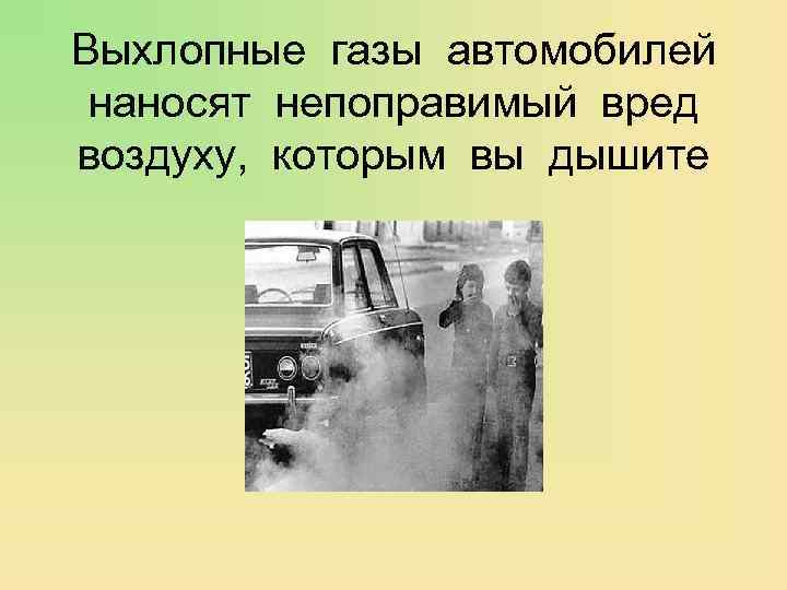 Выхлопные газы автомобилей наносят непоправимый вред воздуху, которым вы дышите 