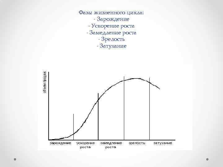 Жизненный цикл рост