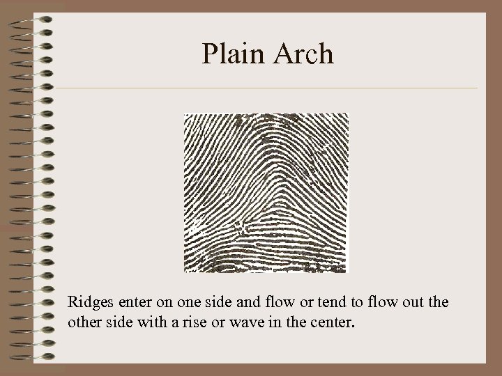 Plain Arch Ridges enter on one side and flow or tend to flow out